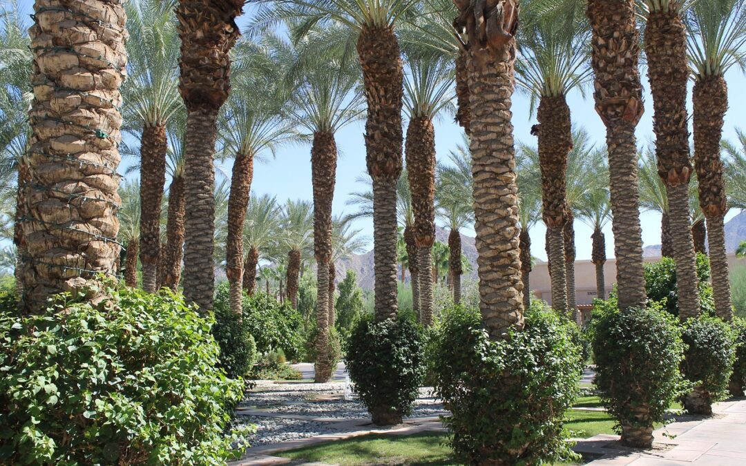 L’art du voyage haut de gamme à Marrakech : Gastronomie, culture et bien-être