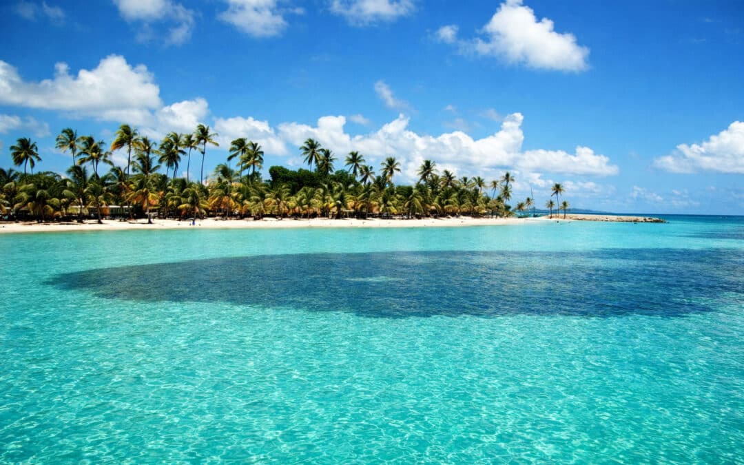 Discovering the Caravelle Peninsula