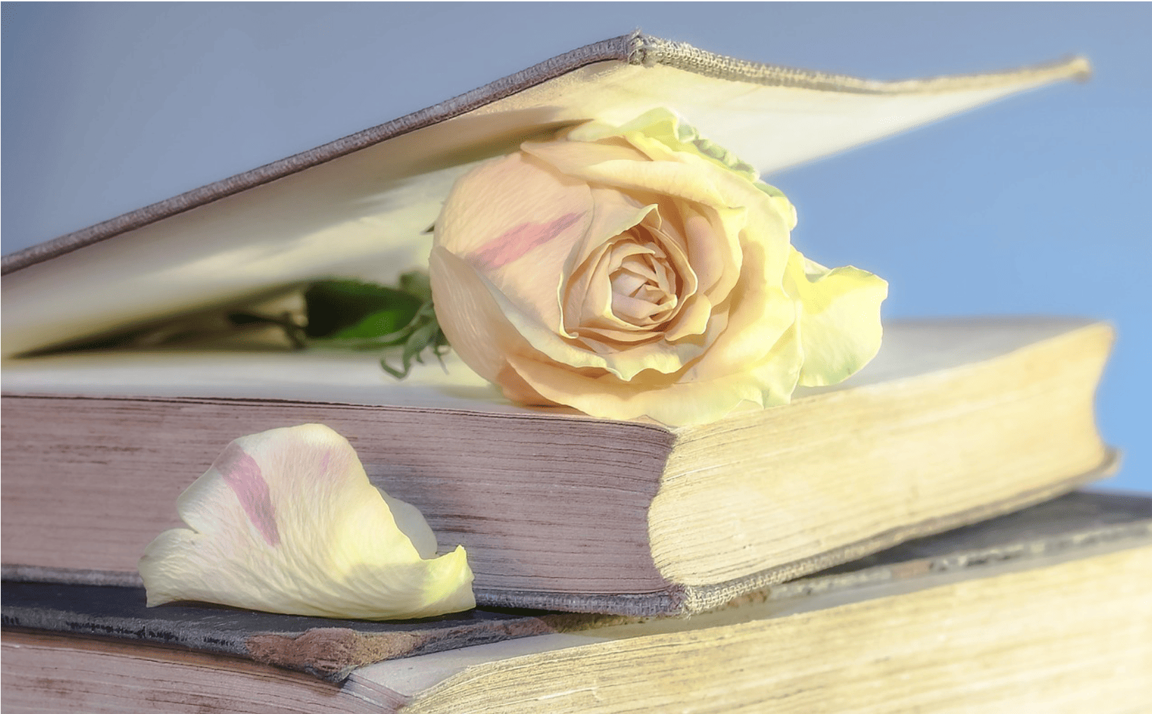 To create is to live twice: what Elizabeth Gilbert’s Comme par magie teaches us